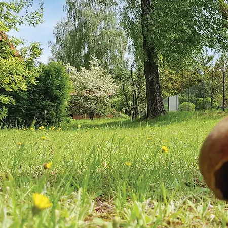 Ferienhaus Holiday Home Morag Kretowiny IV Morąg